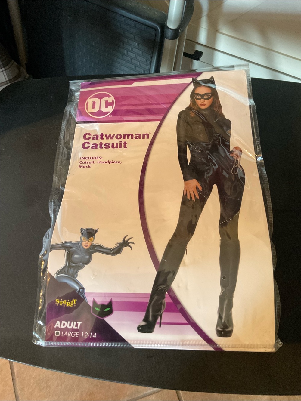 DC Catwoman Shiny Black Catsuit Costume